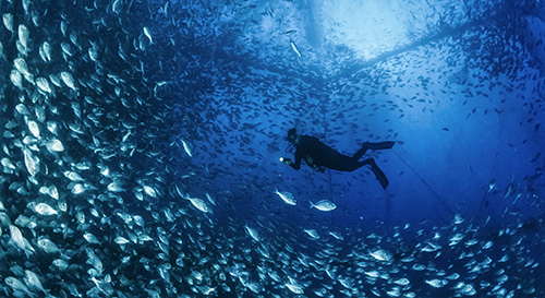 bilde Stord International in der Fischverarbeitungsindustrie