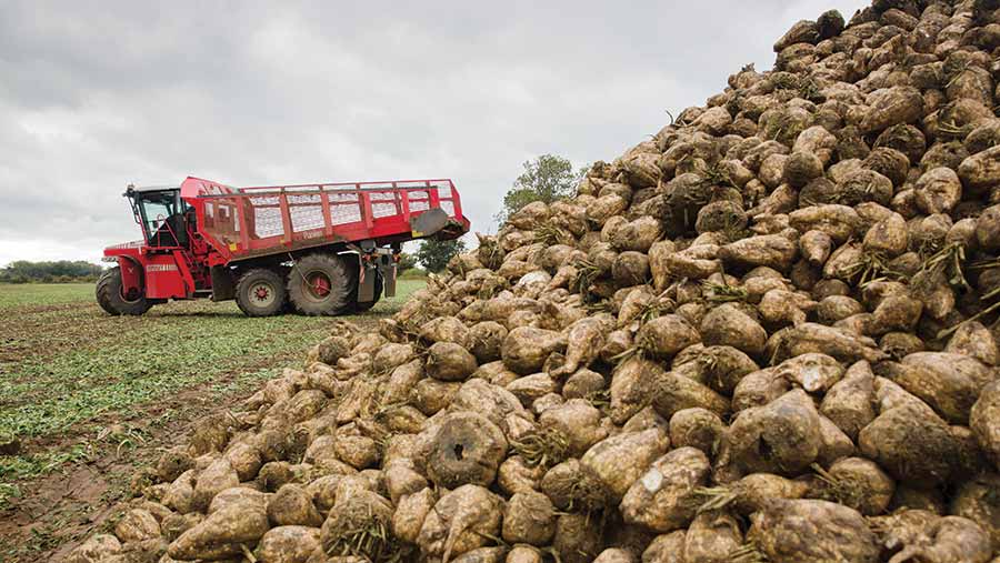 list image: Sugar beet trash & weeds